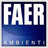 logo faer